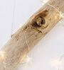 Lexton 20 Led Star Copper Wire String Lights? 2M Fairy Decoration Lights with Usb & Adapter (Warm White)