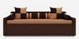 Libford Pull-Out Sofa Cum Bed in Brown Finish