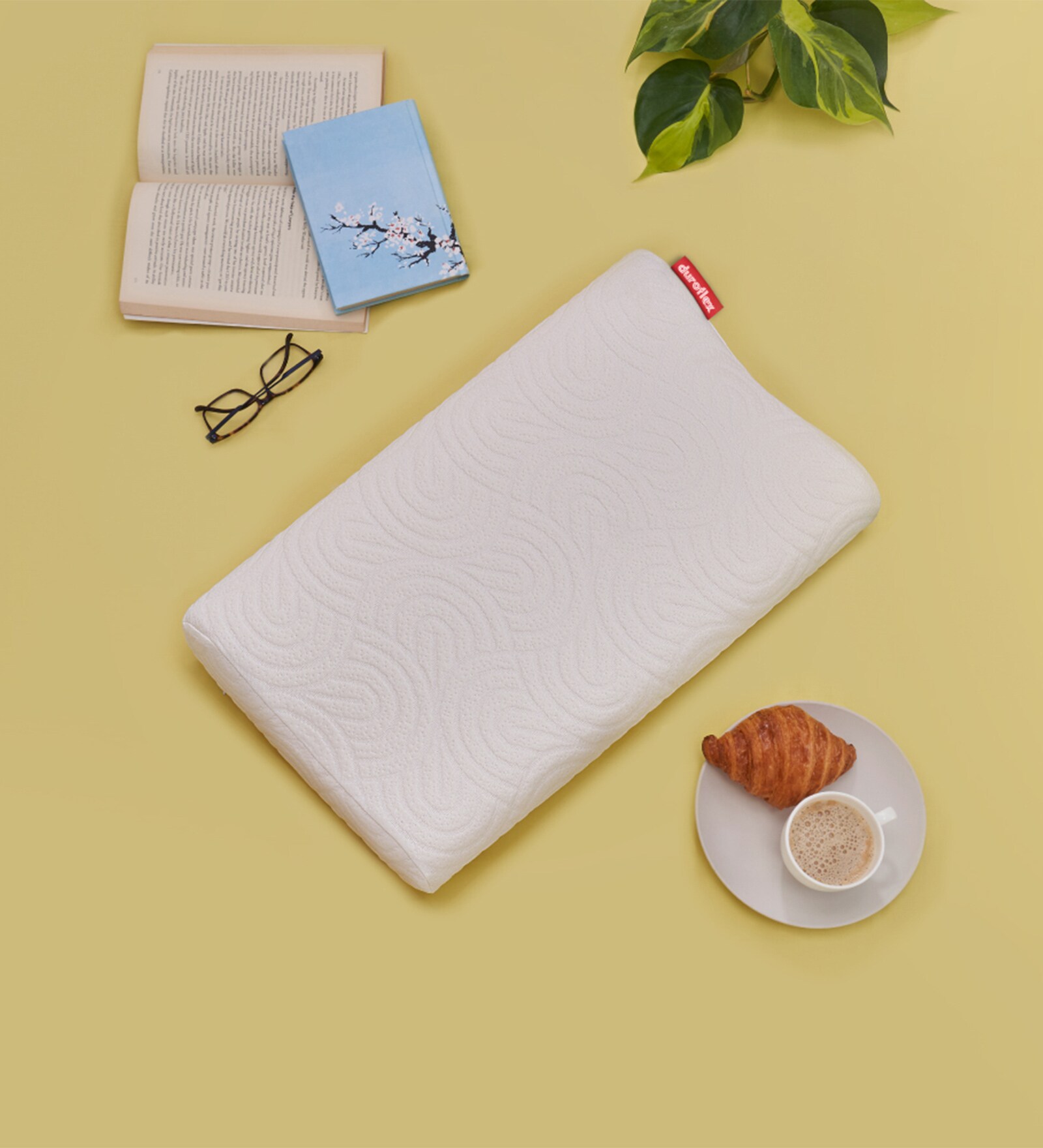 Life Foam 24 x 16 Inch Pillow
