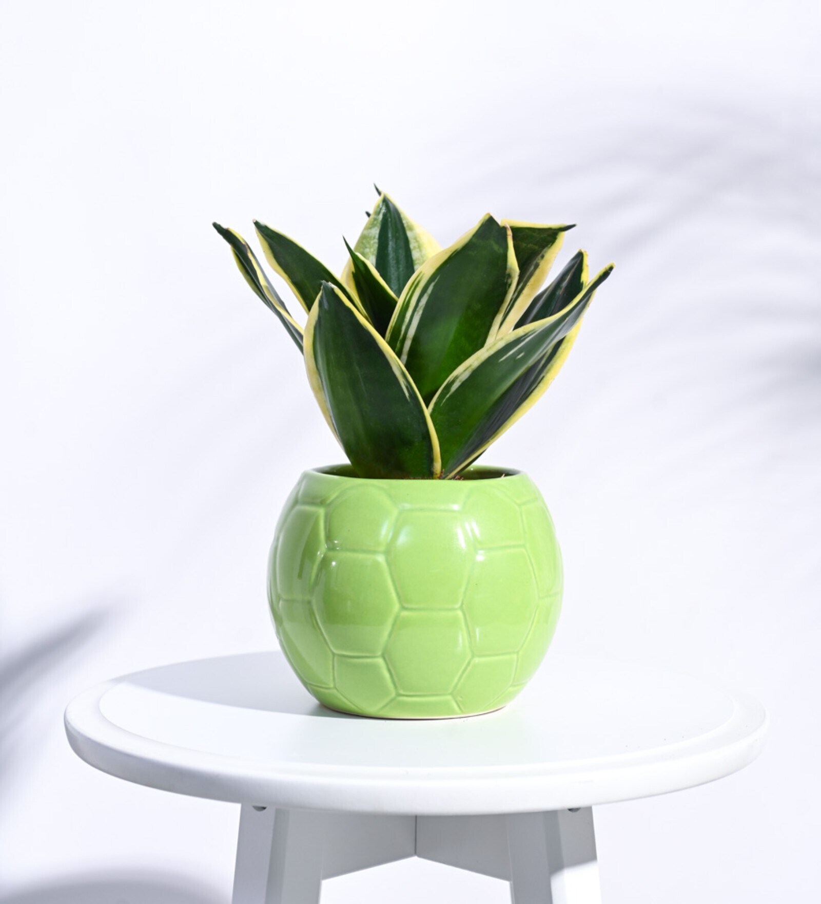 Light Green Ceramic Football Shape Desk Pot Desk Pot