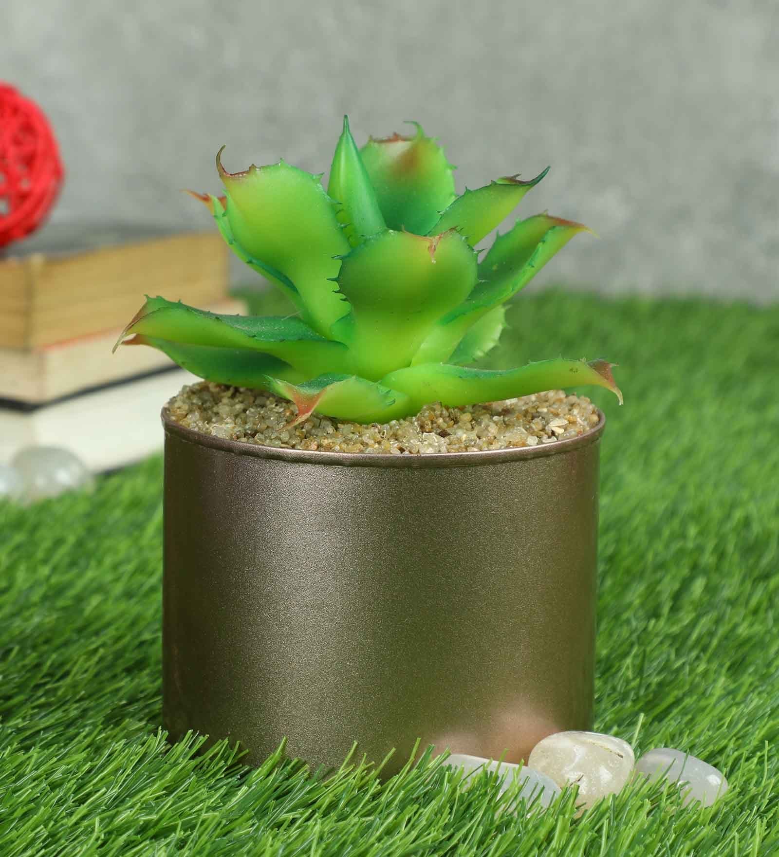 Light Green Polyester Elegant Artificial Cactus Succulent With Metal Pot