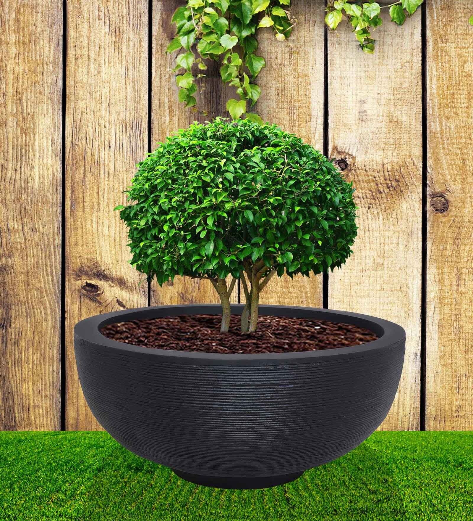 Lily Pan Black Polyethylene  Floor Planter