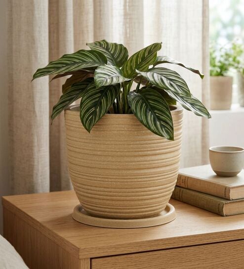 LINO Beige 12 Inch German Polymer Round Plant Container With Saucer