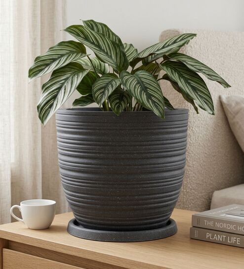 LINO Grey 12 Inch German Polymer Round Plant Container With Saucer