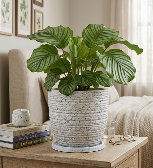 LINO Marble White 12 Inch German Polymer Round Plant Container With Saucer