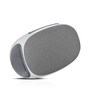 Lixo Li490 Multifunction Massager in Grey Colour