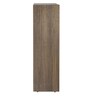 Liber Book Shelf in Dark Oak Finish