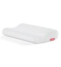 Life Foam 24 x 16 Inch Pillow