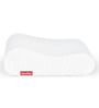 Life Foam 24 x 16 Inch Pillow