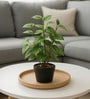 Green Lifelike Artificial Green Plant with Black Pot