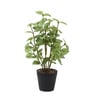 Green Lifelike Artificial Green Plant with Black Pot