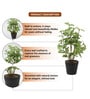 Green Lifelike Artificial Green Plant with Black Pot