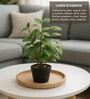 Green Lifelike Artificial Green Plant with Black Pot