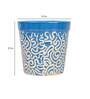Light Blue Ceramic Ashwani Design With Rd Print Small Planter