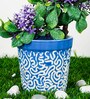 Light Blue Ceramic Ashwani Design With Rd Print Small Planter