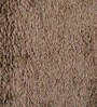 Light Brown Polyester Shaggy 6' x 4' Hand tufted Carpet