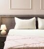 Cream 100% Cotton 300TC Solid Superking Bedsheet with 2 Pillow Covers (Quilted)