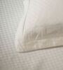 Cream 300TC 100% Cotton Flat Chekered Super King Bedsheet with 2 Pillow Covers