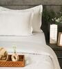 Cream 300TC 100% Cotton Flat Chekered Super King Bedsheet with 2 Pillow Covers