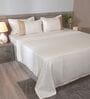 Light Cream 300TC 100% Cotton Solids Flat Super King Bedsheet With 2 Pillow Covers