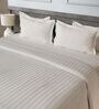Cream 300TC 100% Cotton Stripe Flat Super King Bedsheet with 2 Pillow Covers