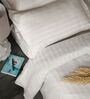 Cream 300TC 100% Cotton Stripe Flat Super King Bedsheet with 2 Pillow Covers