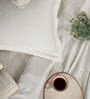 Cream 400TC 100% Cotton Solid Flat Super King Bedsheet With 2 Pillow Covers