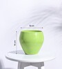 Light Green Ceramic Apple Shape Desk Pot