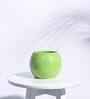 Light Green Ceramic Football Shape Desk Pot Desk Pot