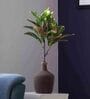 Polyester Light Green Dieffenbachia Without Pot Artificial Plants