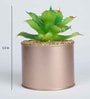 Light Green Polyester Elegant Artificial Cactus Succulent With Metal Pot