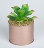Light Green Polyester Elegant Artificial Cactus Succulent With Metal Pot