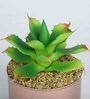 Light Green Polyester Elegant Artificial Cactus Succulent With Metal Pot