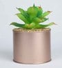 Light Green Polyester Elegant Artificial Cactus Succulent With Metal Pot