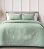 Light Green Solid GSM 300 Pure Cotton King Size Bedcover With 2 Pillow Covers