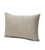 Light Grey Solid 200 TC Velevt 2 Pillow Covers