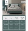 Light Grey Solid 300 TC Cotton Blend Fitted Single Bedsheet with Pillow Cover