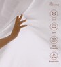 Light Lilac Solid 400 TC Cotton King Sized Fitted sheet with 2 Pillow Covers