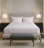 Light Lilac Solid 400 TC Cotton Queen Sized Fitted sheet with 2 Pillow Covers