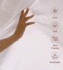Light Lilac Solid 400 TC Cotton Single Sized Bedsheet with 1 Pillow Cover