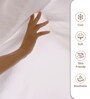 Light Lilac Solid 400 TC Cotton Single Sized Fitted sheet with 1 Pillow Cover