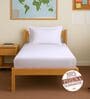 Light Lilac Solid 400 TC Cotton Single Sized Fitted sheet with 1 Pillow Cover