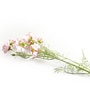 Light Pink Comos Flower Large