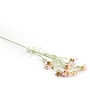 Light Pink Comos Flower Large