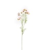 Light Pink Comos Flower Large