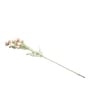 Light Pink Comos Flower Large