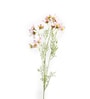 Light Pink Comos Flower Large