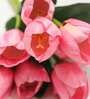 Pink Polyester Tulips Artificial Flowers