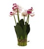 Pink Fabric Light Orchid Artificial Flowers