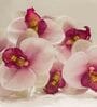 Pink Fabric Light Orchid Artificial Flowers